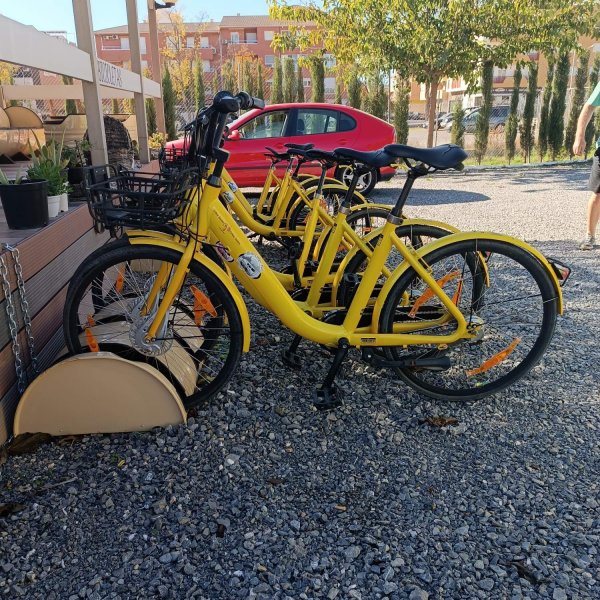 Alcalá Camper Park — Photo 5