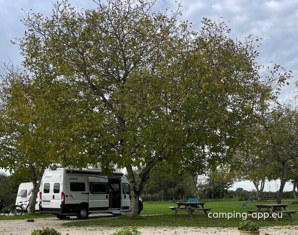 Camping & Gites La Forêt De Tessé