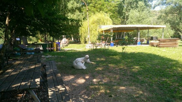 Agricampeggio Cavalcando la valle nel Tirino — Photo 3