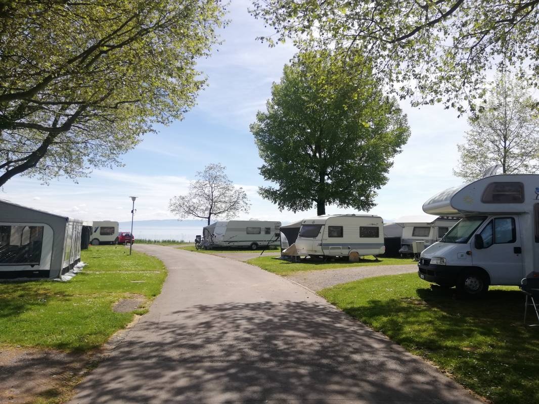 Campingplatz Buchhorn — Kamp yeri in Arbon