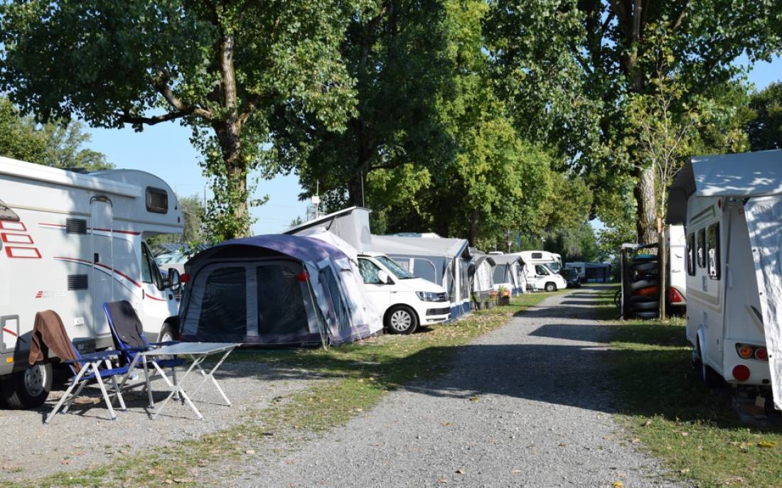 Campingplatz Buchhorn — Campingplatz in Arbon