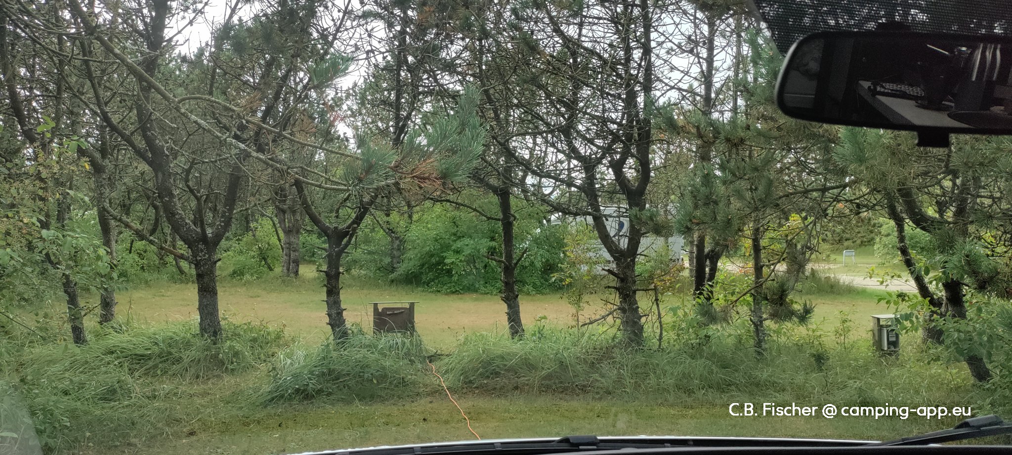 Rødhus Klit Camping — Foto 2