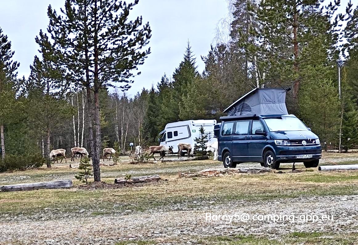 Fox & Elk Camping Idre — Camping in Idre