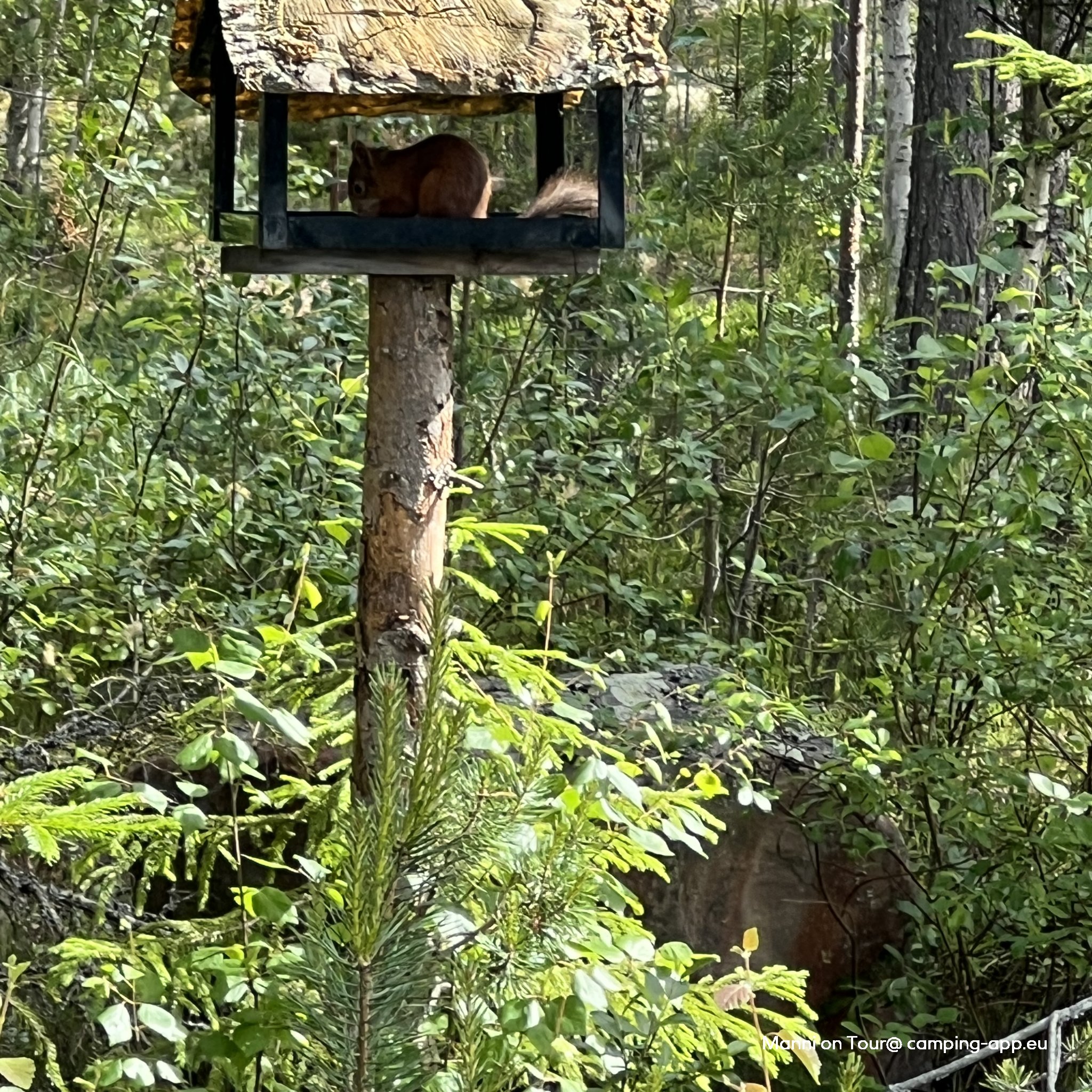 Fox & Elk Camping Idre — Foto 2