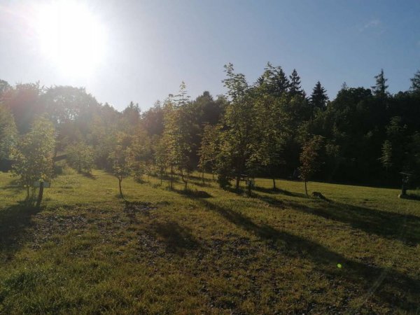 Wohnmobilstellplatz Bocksberg — Photo 5