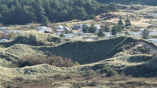 Dünencamping Amrum — Photo 3