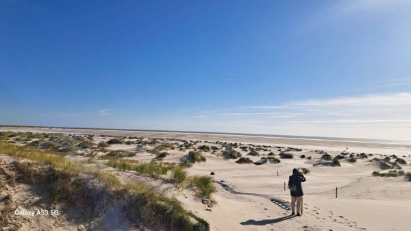 Dünencamping Amrum — Foto 2
