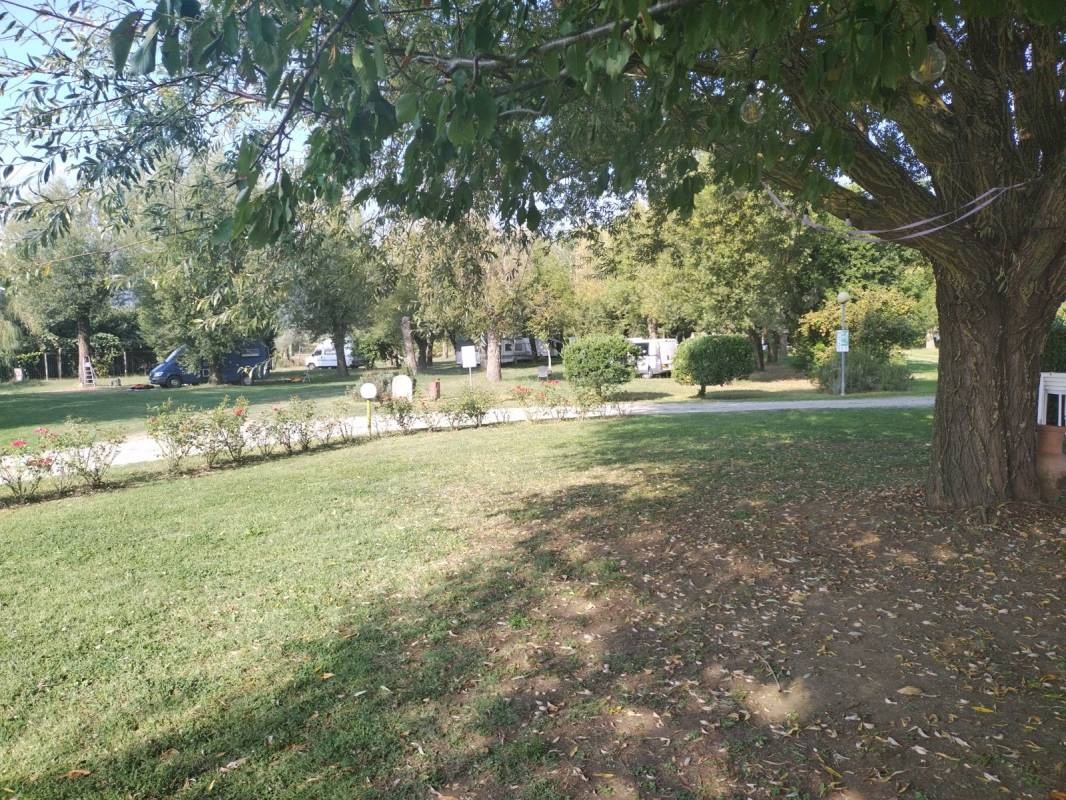 La Grata Ristorante e Camping — Campingplatz in Gradoli