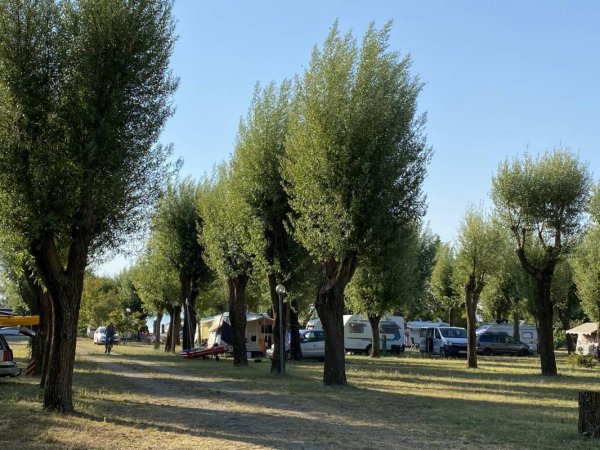 La Grata Ristorante e Camping — Photo 5