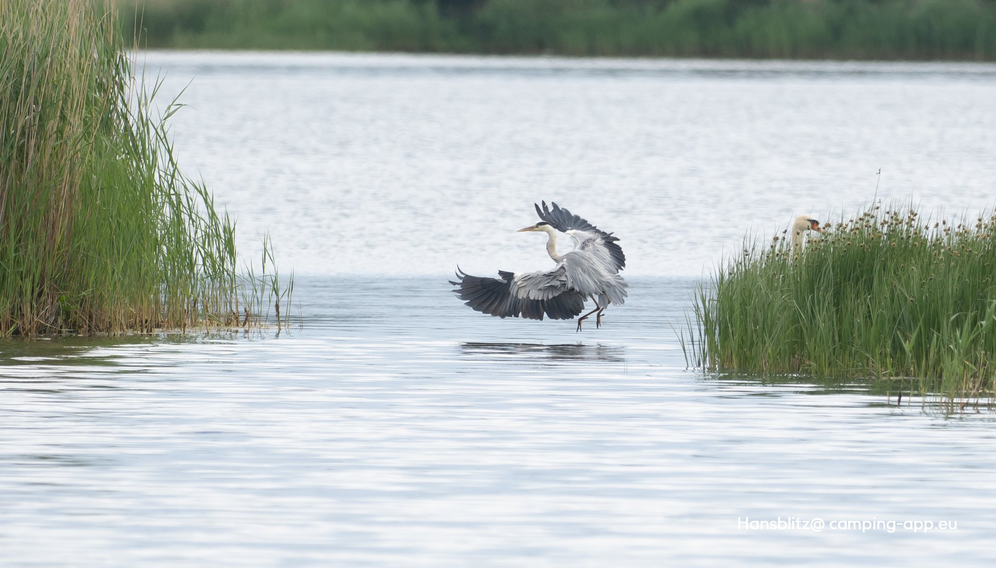 Kalmar Camping **** — Foto 6