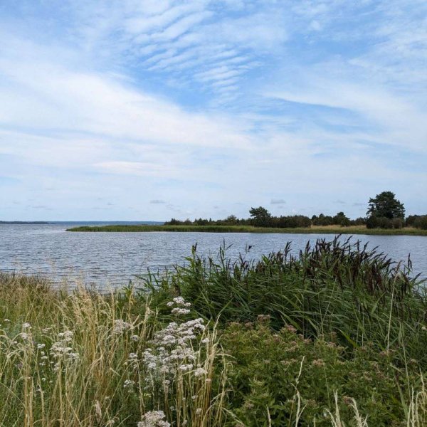 Kalmar Camping **** — Photo 4