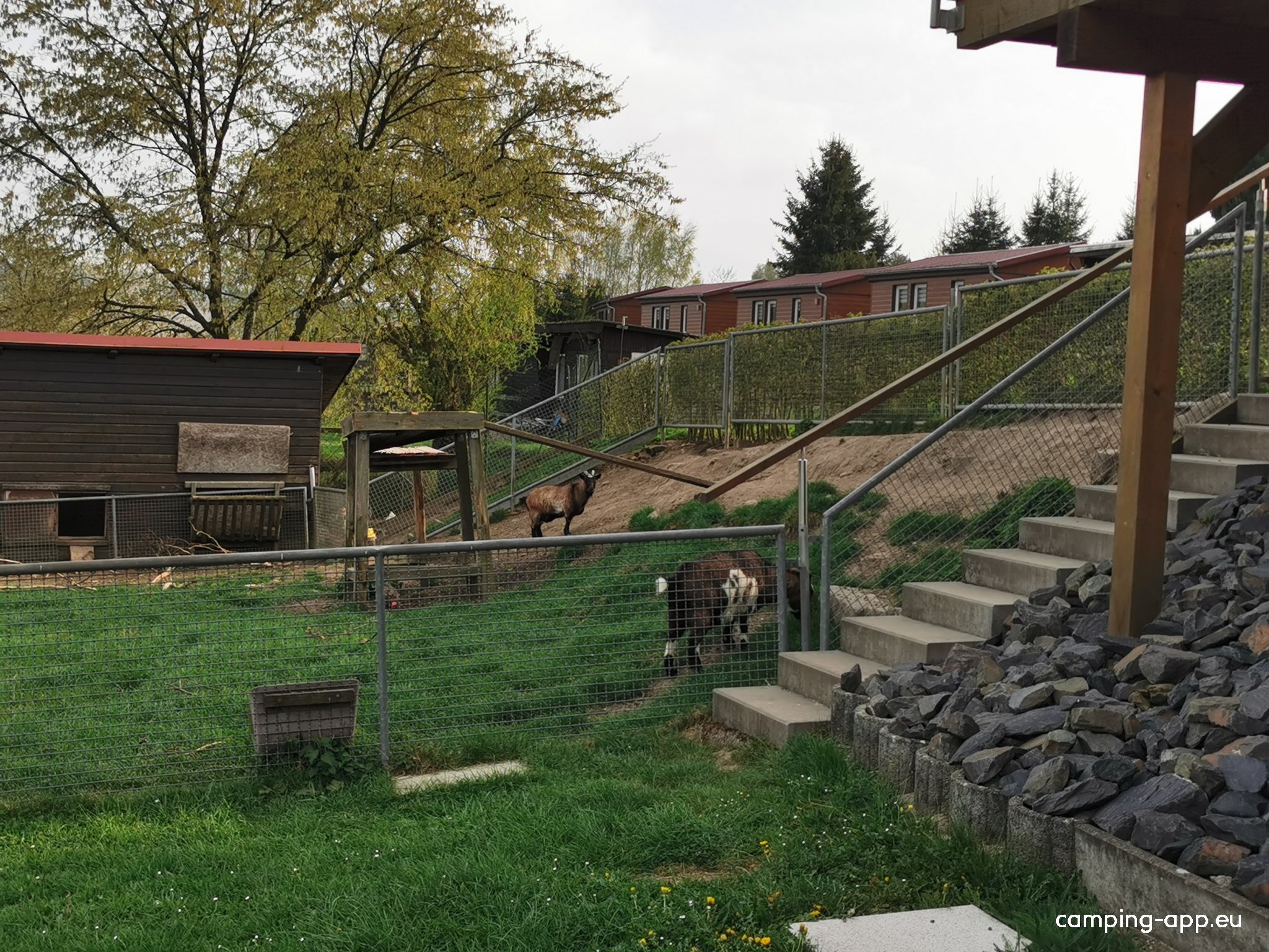 Campingplatz Am Waldbad — Campingplass in Schleusingen