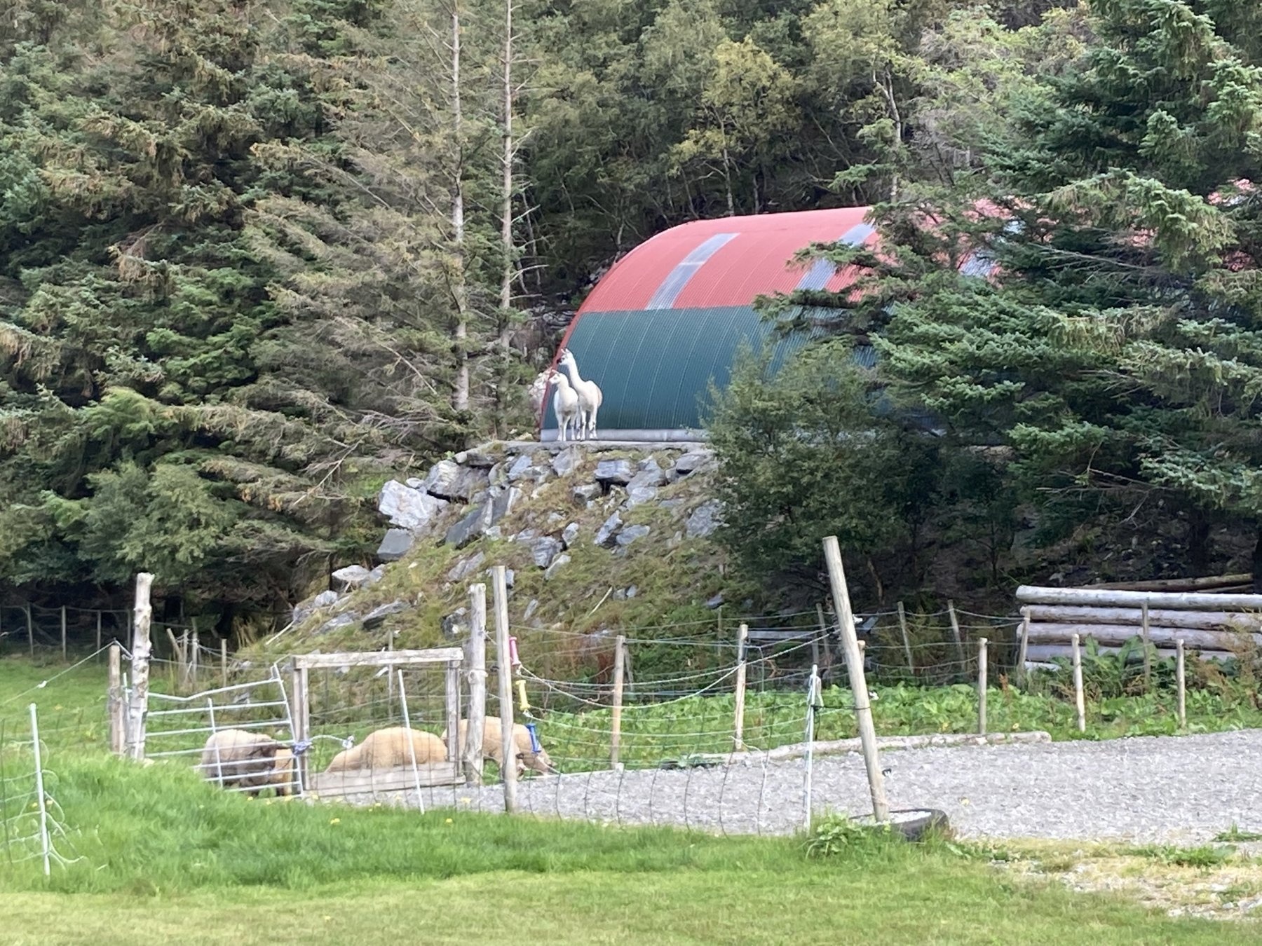 Vestkappcamping — Campingplads in Stadlandet