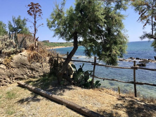 Campeggio Alfieri — Photo 2