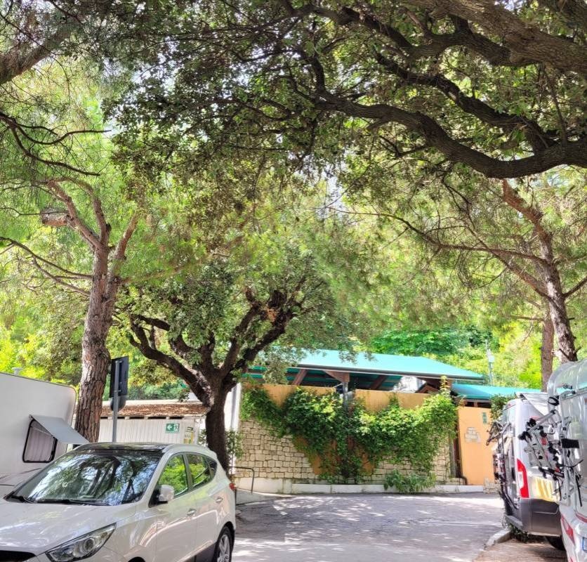 Camping Internazionale **** — Camping in Sirolo