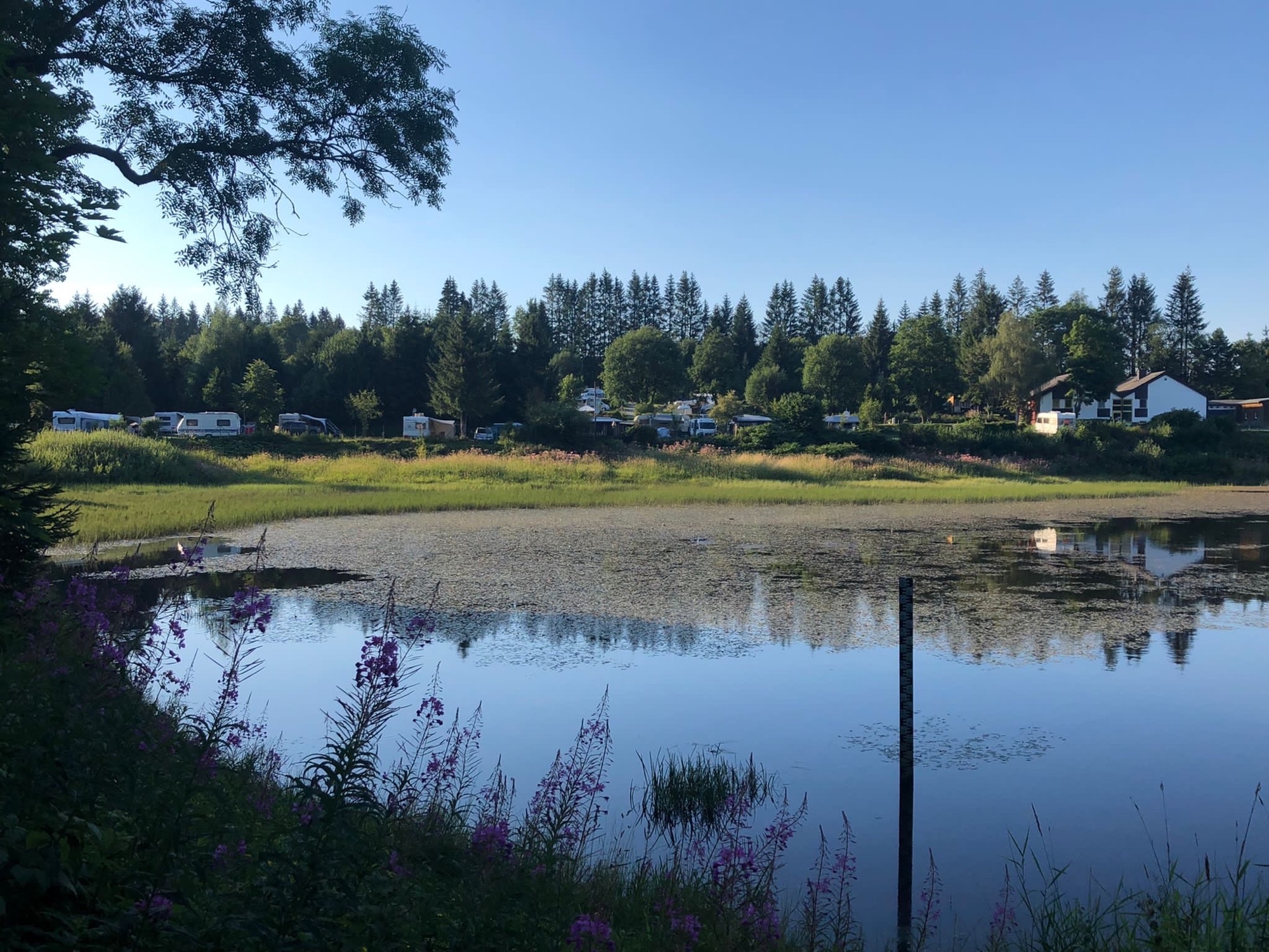 Wildwood Camping Harz — Campingplatz in Landkreis Goslar