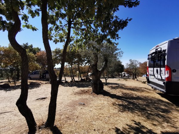 Campismo Pomarinho — Photo 2