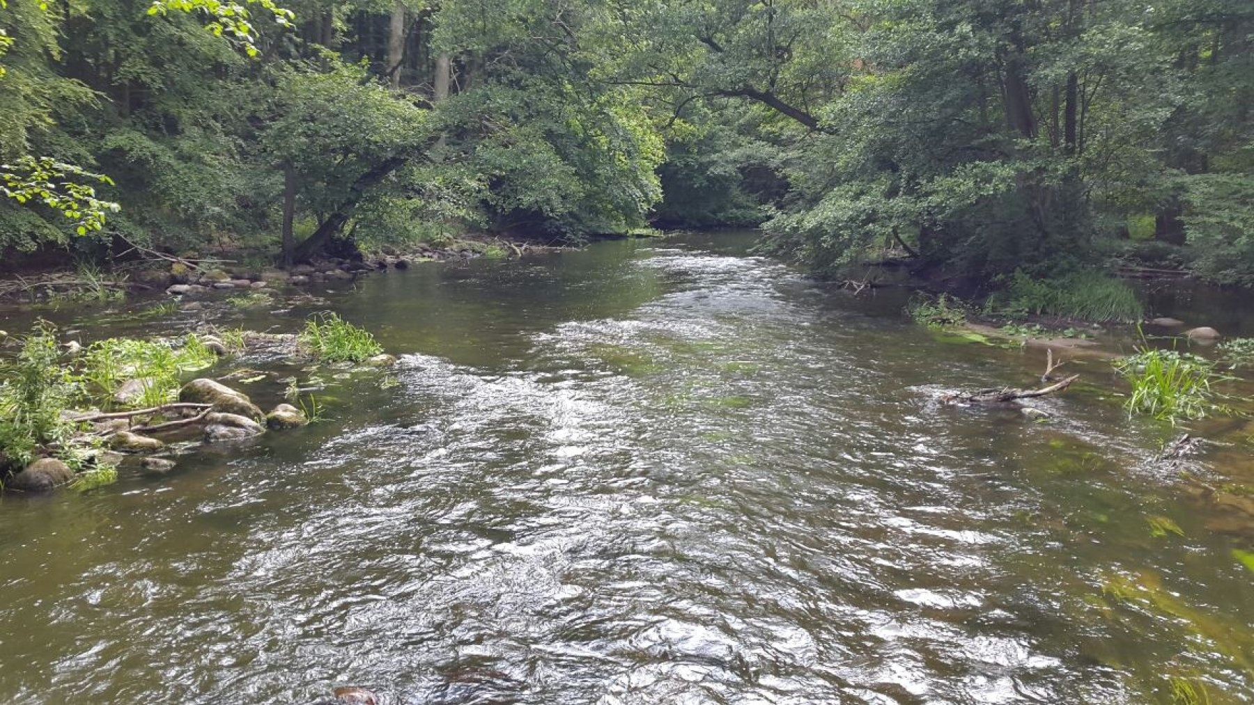 Naturdorf Eickhof — Kamp yeri in Warnow