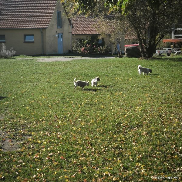 Naturdorf Eickhof — Photo 5