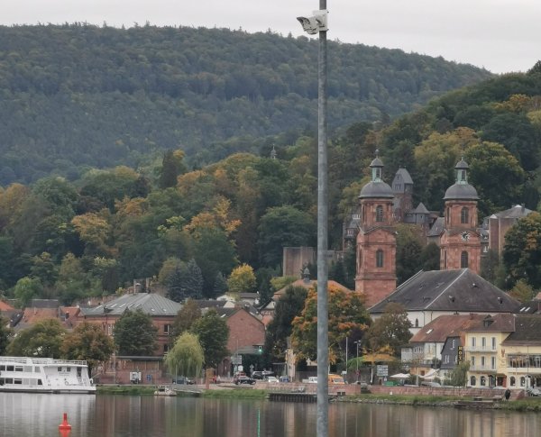 Schiffsanlegestelle Miltenberg — Photo 4