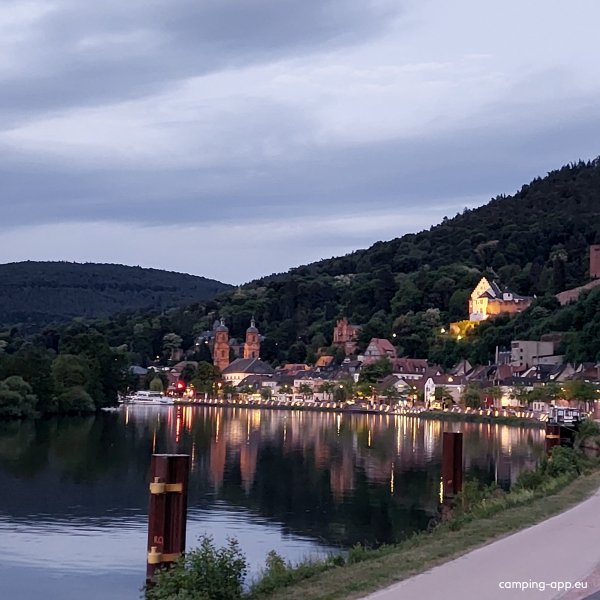 Schiffsanlegestelle Miltenberg — Zdjęcie 4