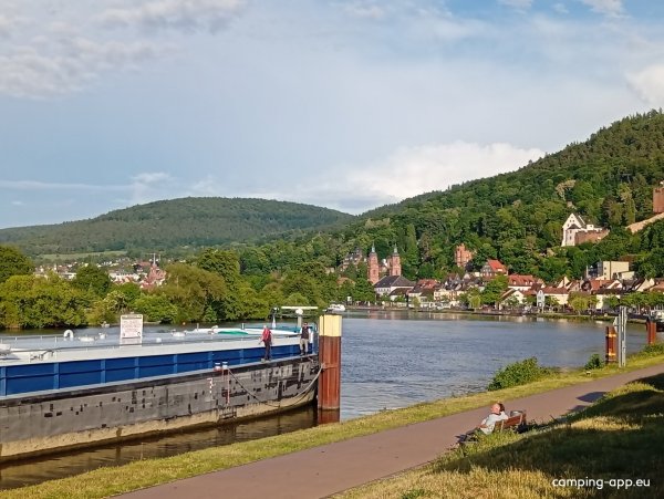 Schiffsanlegestelle Miltenberg — Zdjęcie 3