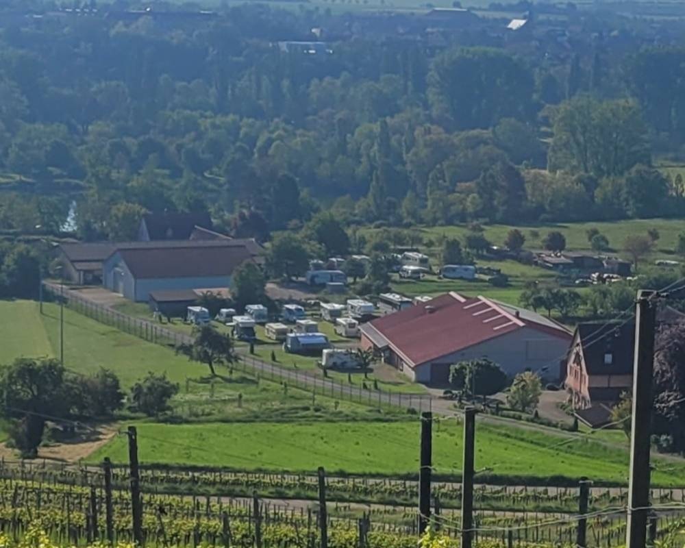 Weingut Staudt — Wijnmakerij in Sulzfeld am Main