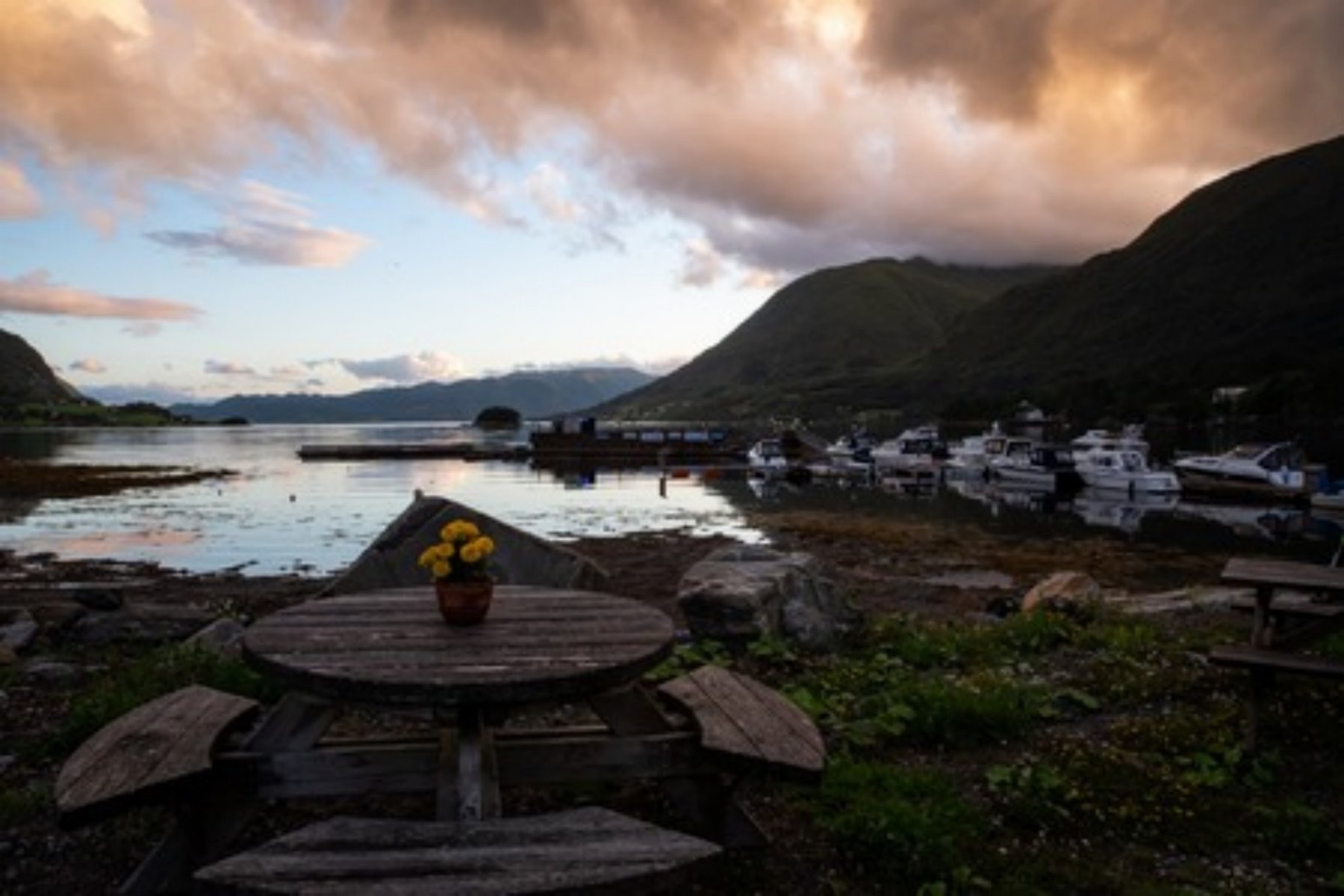 Bøfjorden Camping (Elvanesset) — Campingplads in Settem