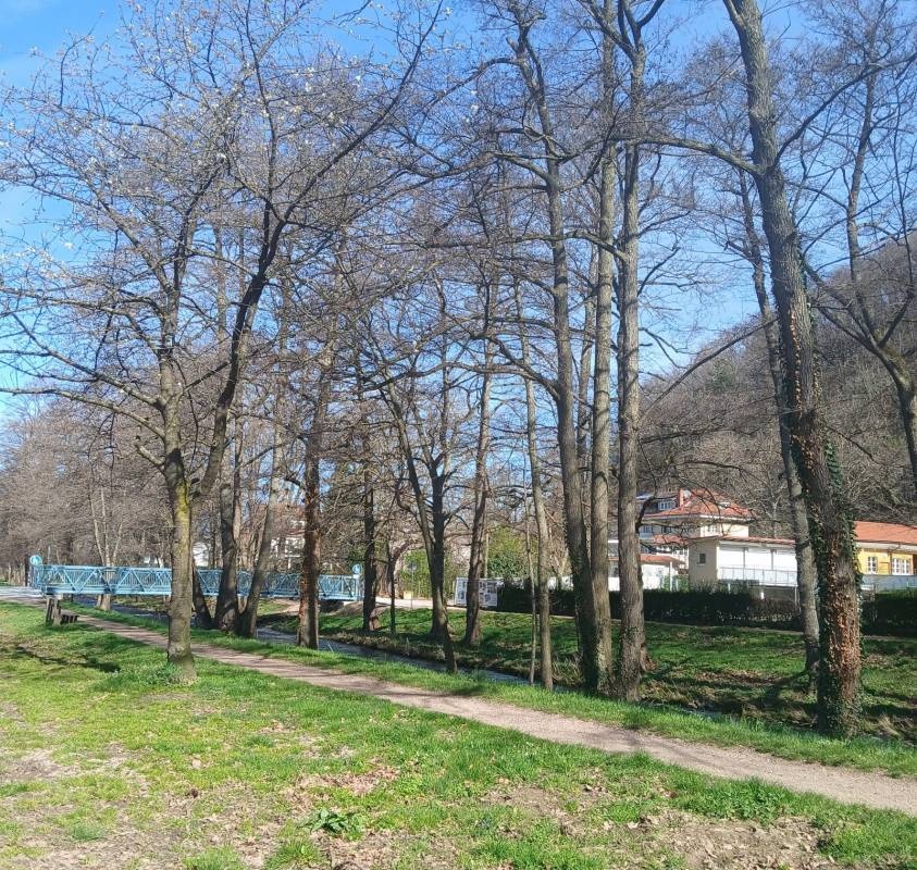 Campingplatz Belchenblick — Area da campeggio in Staufen im Breisgau