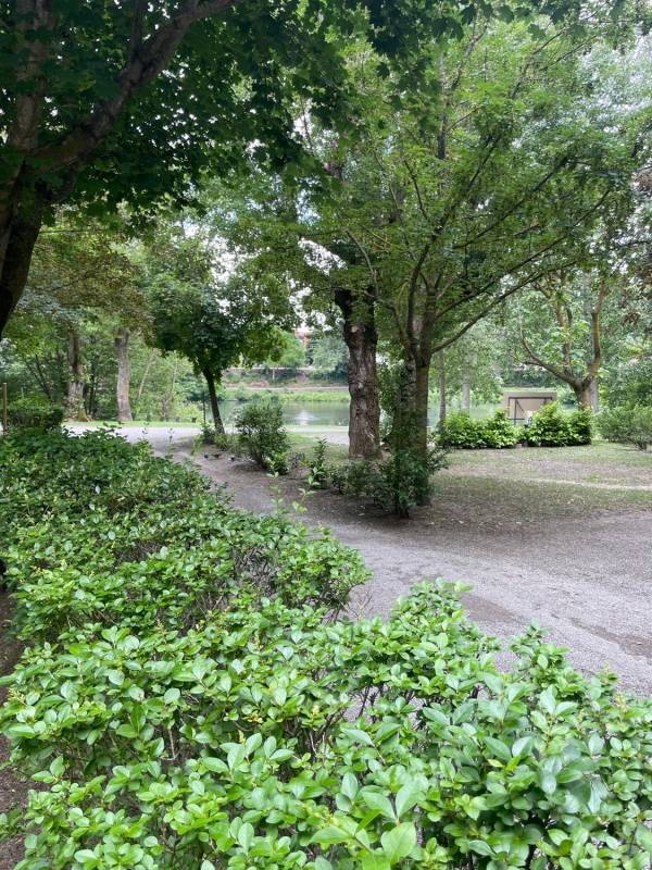 Les erables — Campingplats in Millau