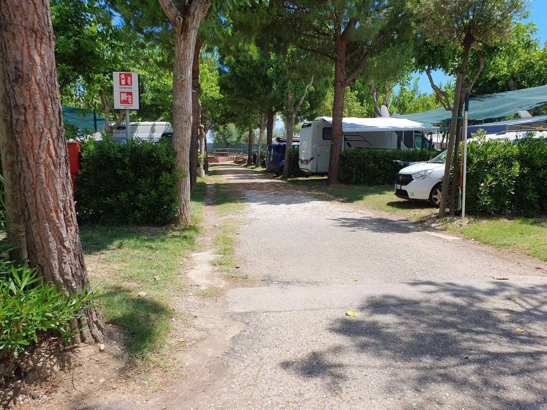 Camping Village Riva Nuova — Camping in Martinsicuro