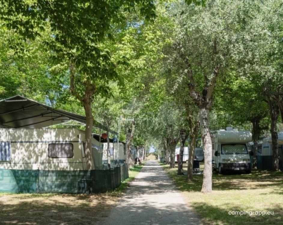 Stork Family Camping Village — Kemp in Cologna Spiaggia
