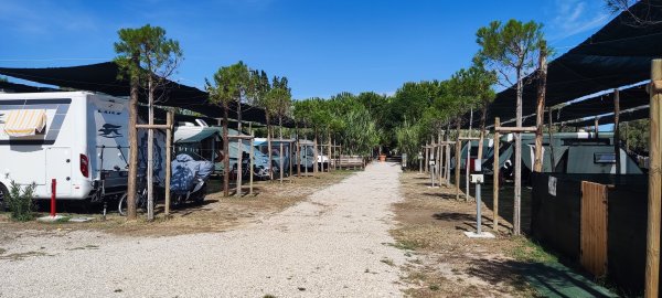 Pineto Beach Camping & Village — Photo 2