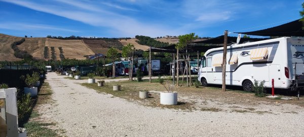 Pineto Beach Camping & Village — Photo 3