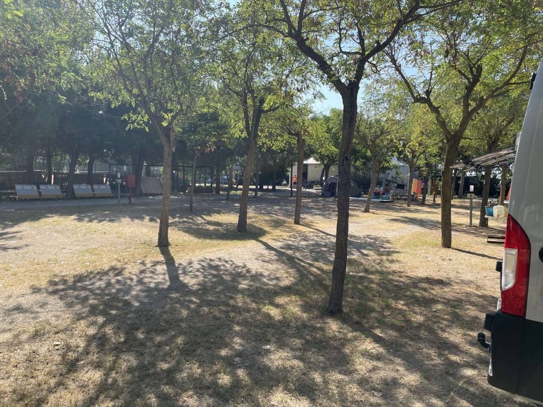 Pineto Beach Camping & Village — Campingplads in Pineto