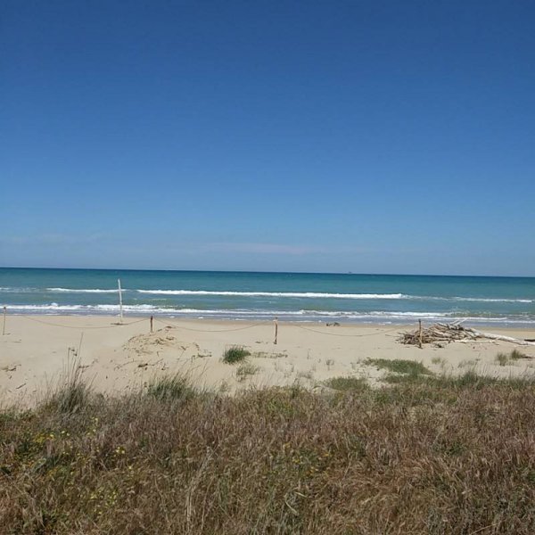 International Camping Torre Cerrano