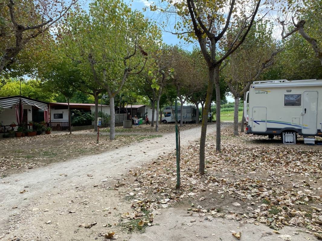 Camping Francavilla — Kemp in Francavilla al Mare