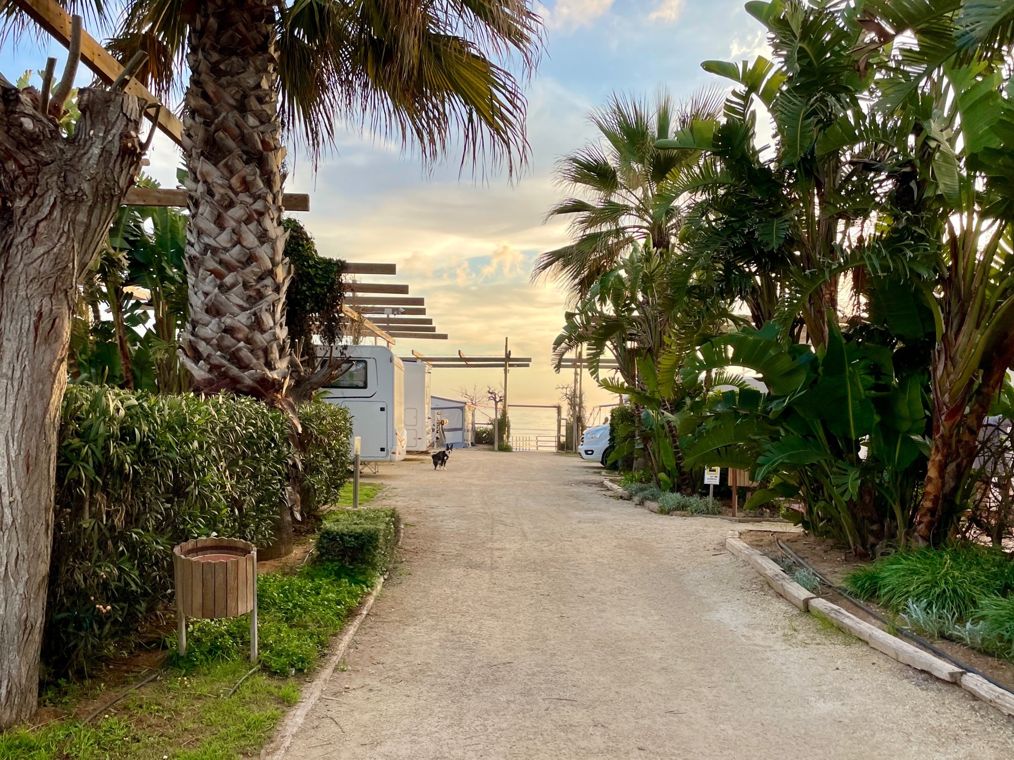 Camping Scarabeo — Camping in Punta Braccetto