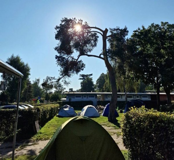Seecamping Mainflingen — Fotoğraf 5
