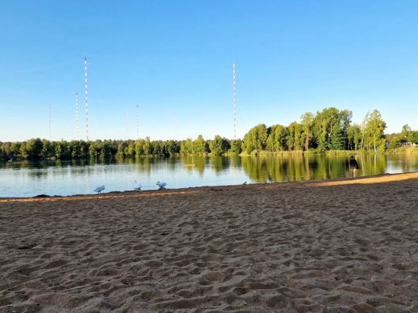 Seecamping Mainflingen — Fotoğraf 4