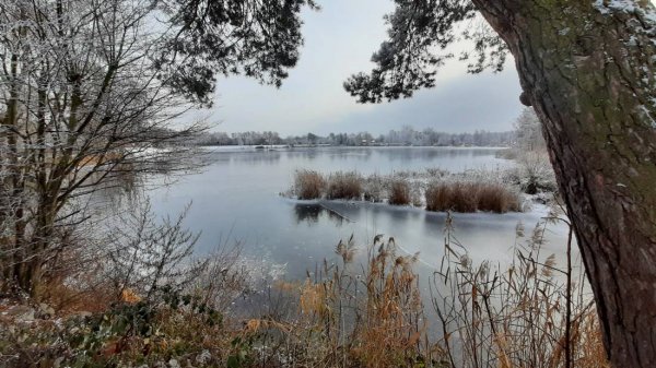 Seecamping Mainflingen — Photo 4