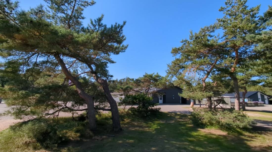 Möllers Dueodde Camping — Area da campeggio in Nexø