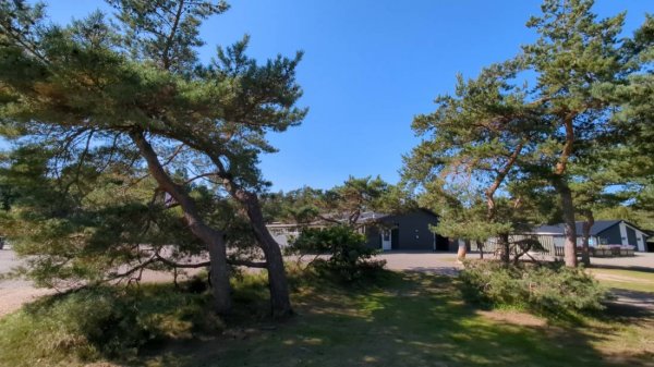 Möllers Dueodde Camping — Foto 5