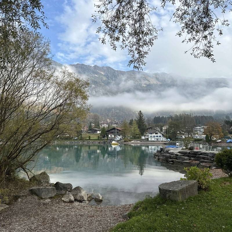 Aaregg Familiencampingplatz — Area da campeggio in Brienz BE