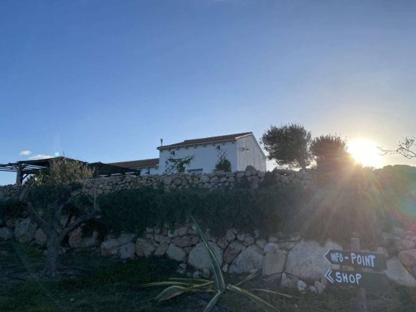 Bona Vita Stellplatz — Photo 5