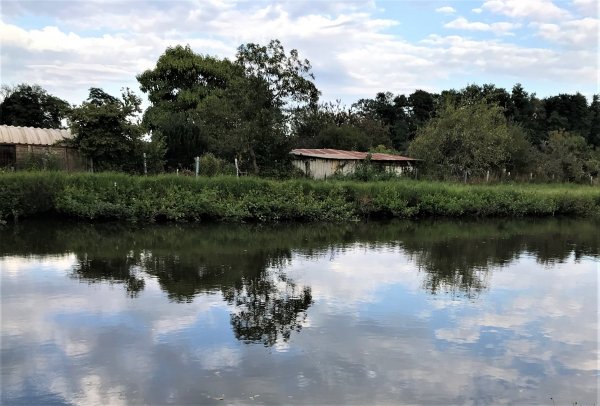 Chassenard — Photo 3