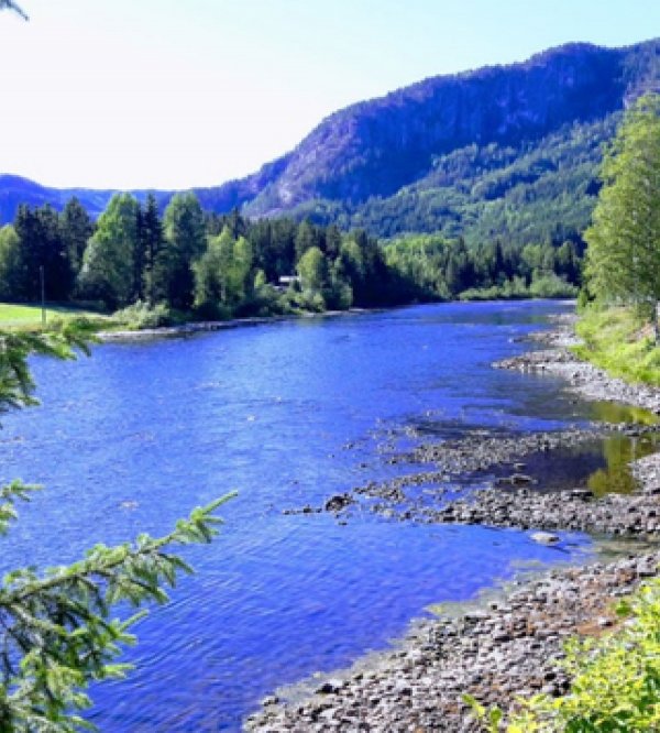 Langedrag Camping — Photo 3