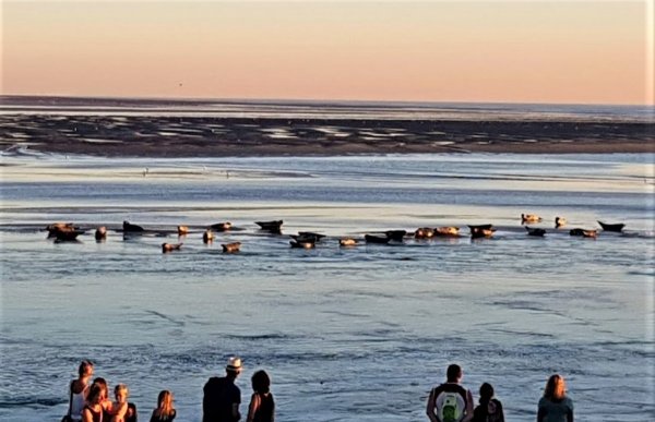 Camping du Halloy — Photo 5