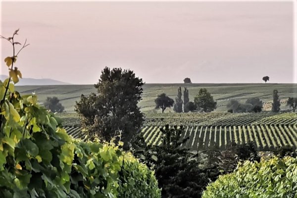 Camping im Klingbachtal — Photo 4