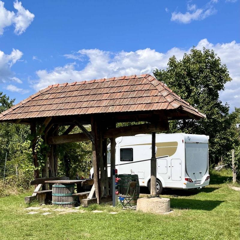 Camping & Weingut Ettenauer — Vinícola in Rohrendorf bei Krems
